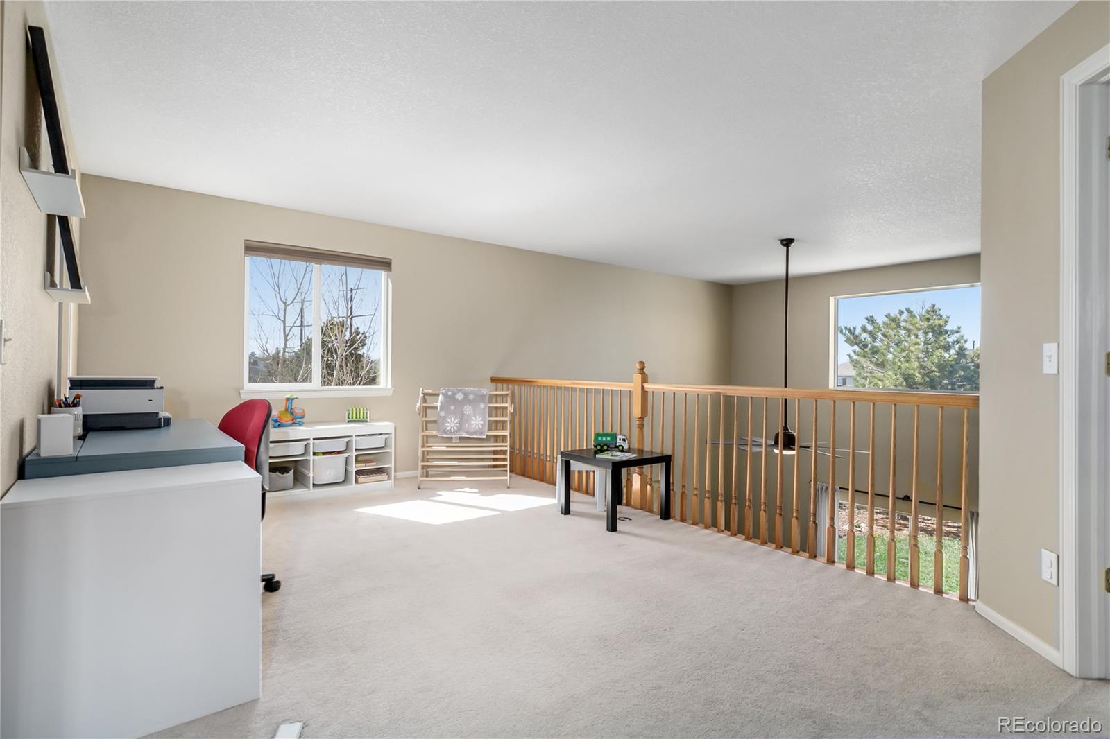 MLS Image #8 for 957  rosedale street,castle rock, Colorado