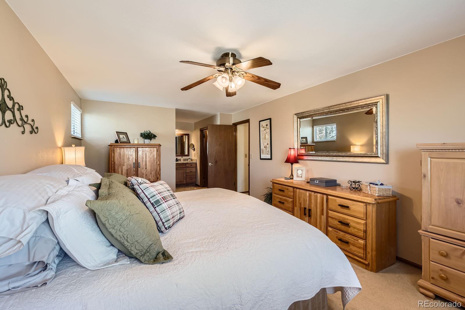MLS Image #12 for 7926 s corona court,centennial, Colorado
