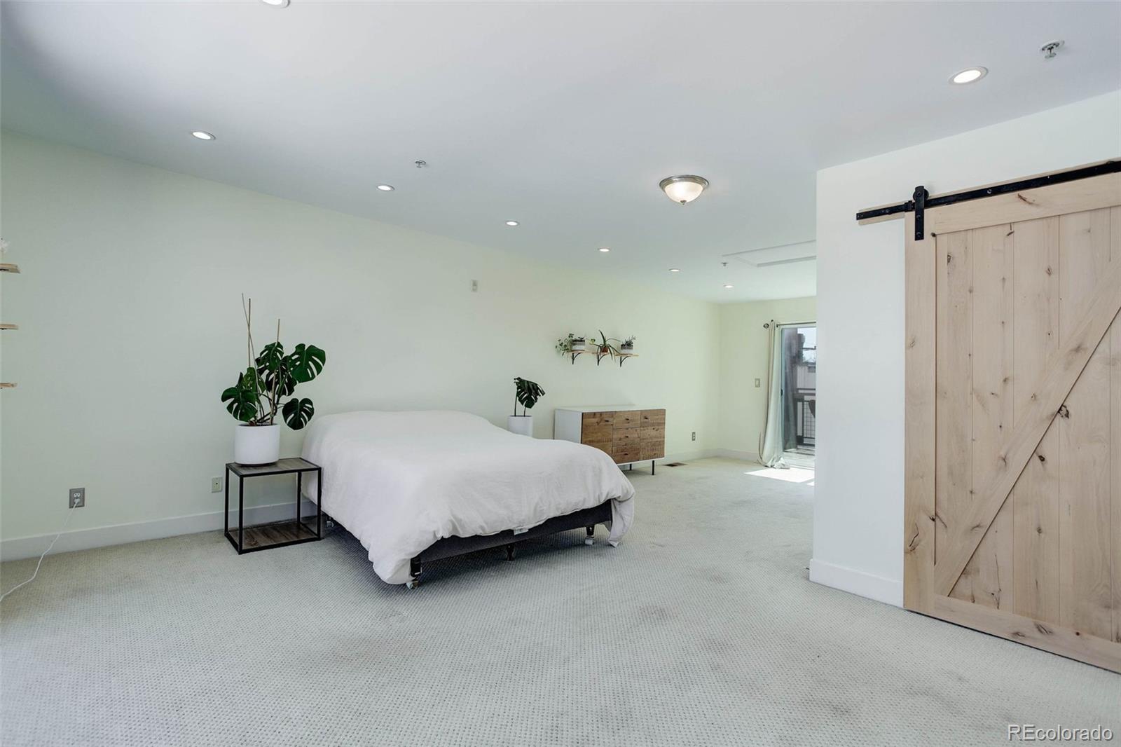 MLS Image #31 for 3040  zuni street,denver, Colorado