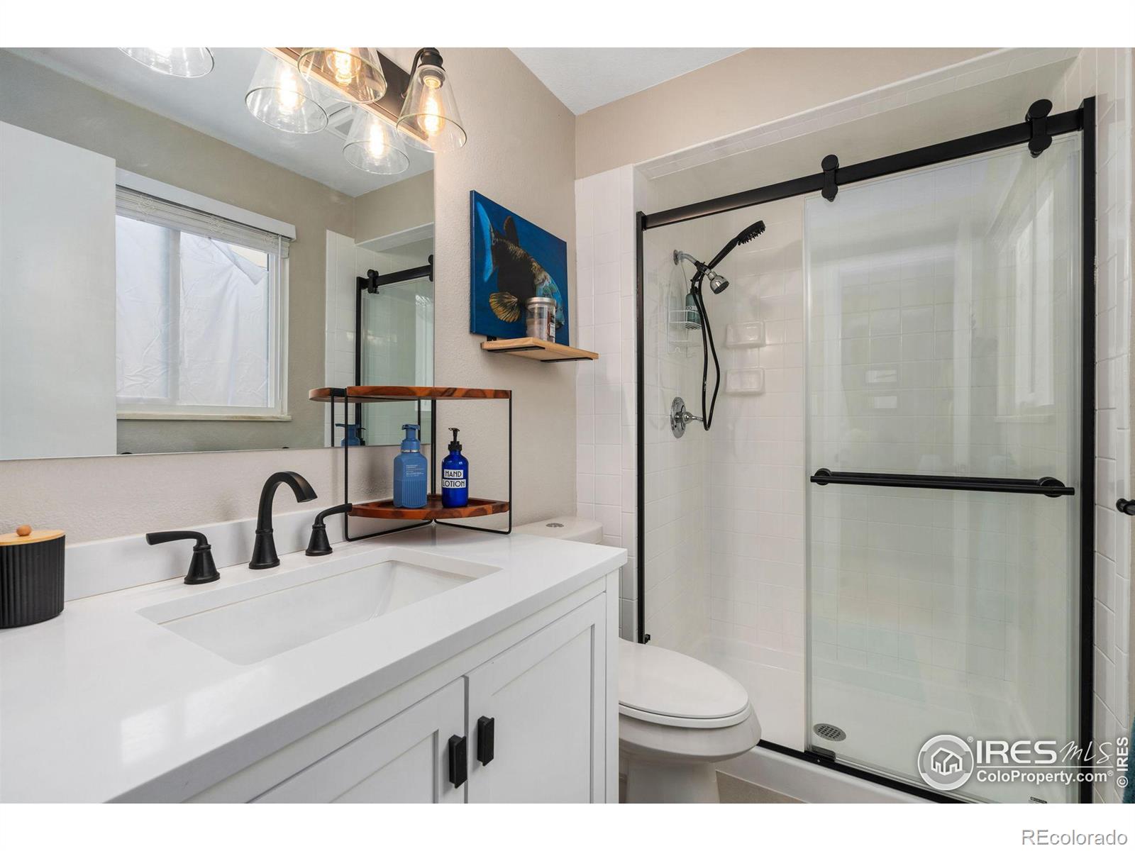 MLS Image #19 for 253  courtney drive,loveland, Colorado
