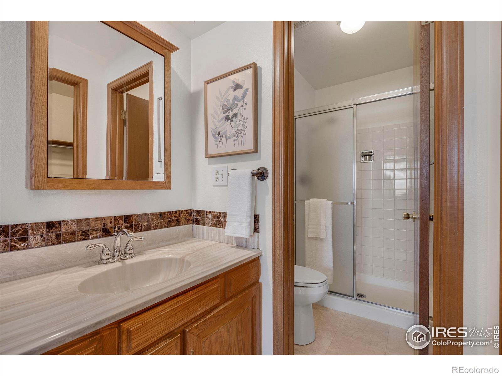 MLS Image #21 for 2924  wagonwheel court,fort collins, Colorado