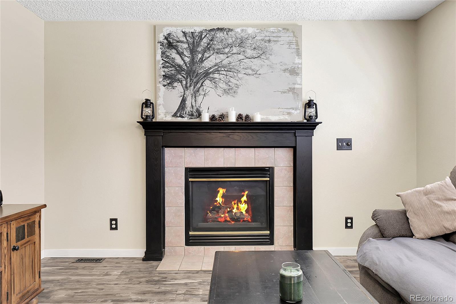 MLS Image #24 for 5126 s malaya way,centennial, Colorado