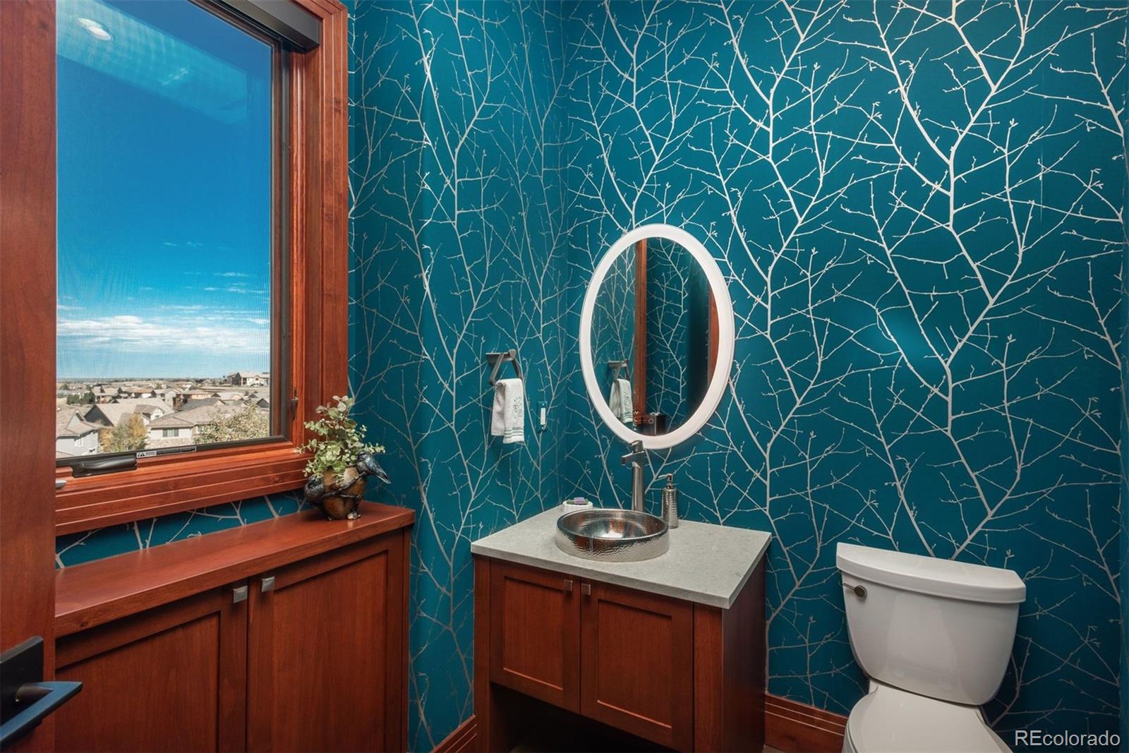 MLS Image #29 for 703  emberglow lane,highlands ranch, Colorado