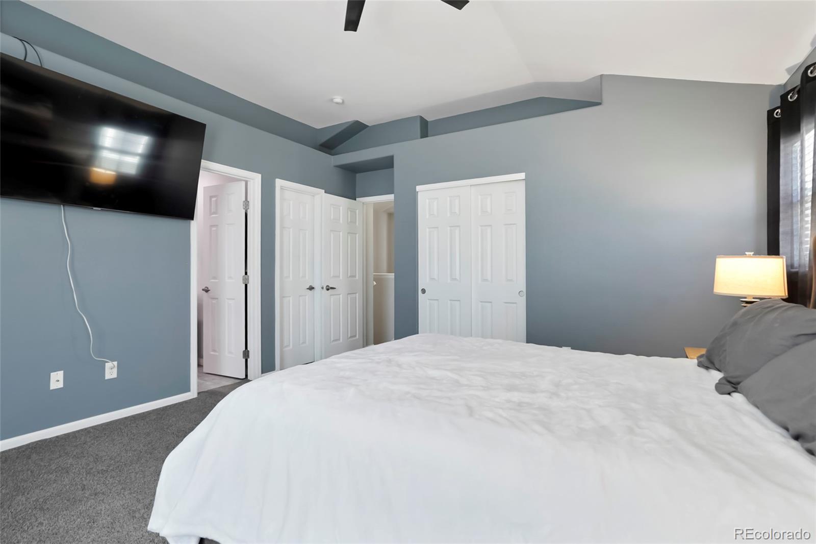 MLS Image #11 for 1335  carlyle park circle,highlands ranch, Colorado