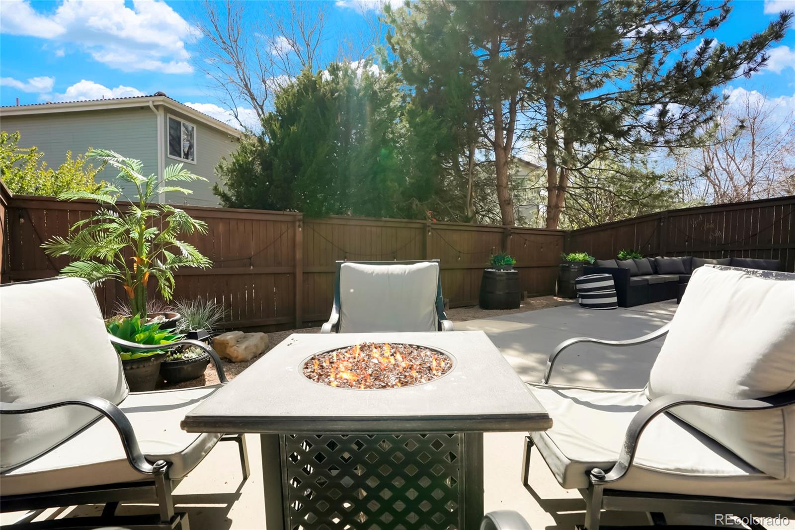 MLS Image #18 for 1335  carlyle park circle,highlands ranch, Colorado