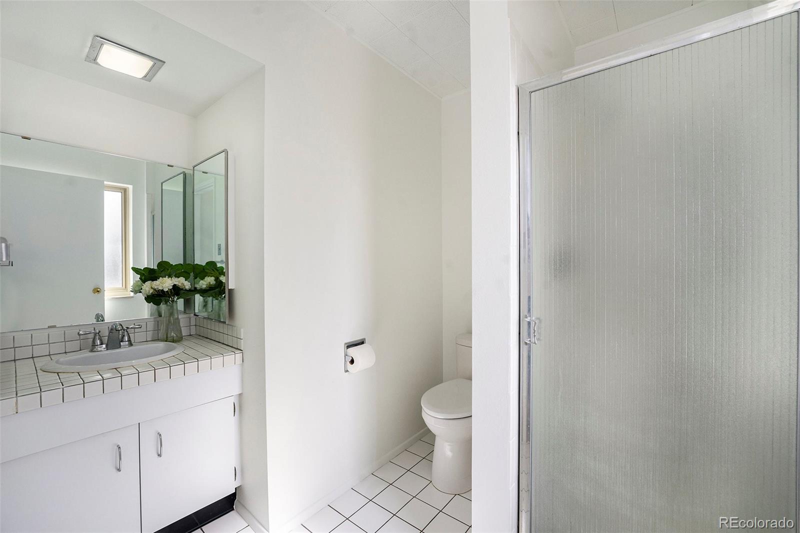 MLS Image #10 for 1781 s valentine way,lakewood, Colorado