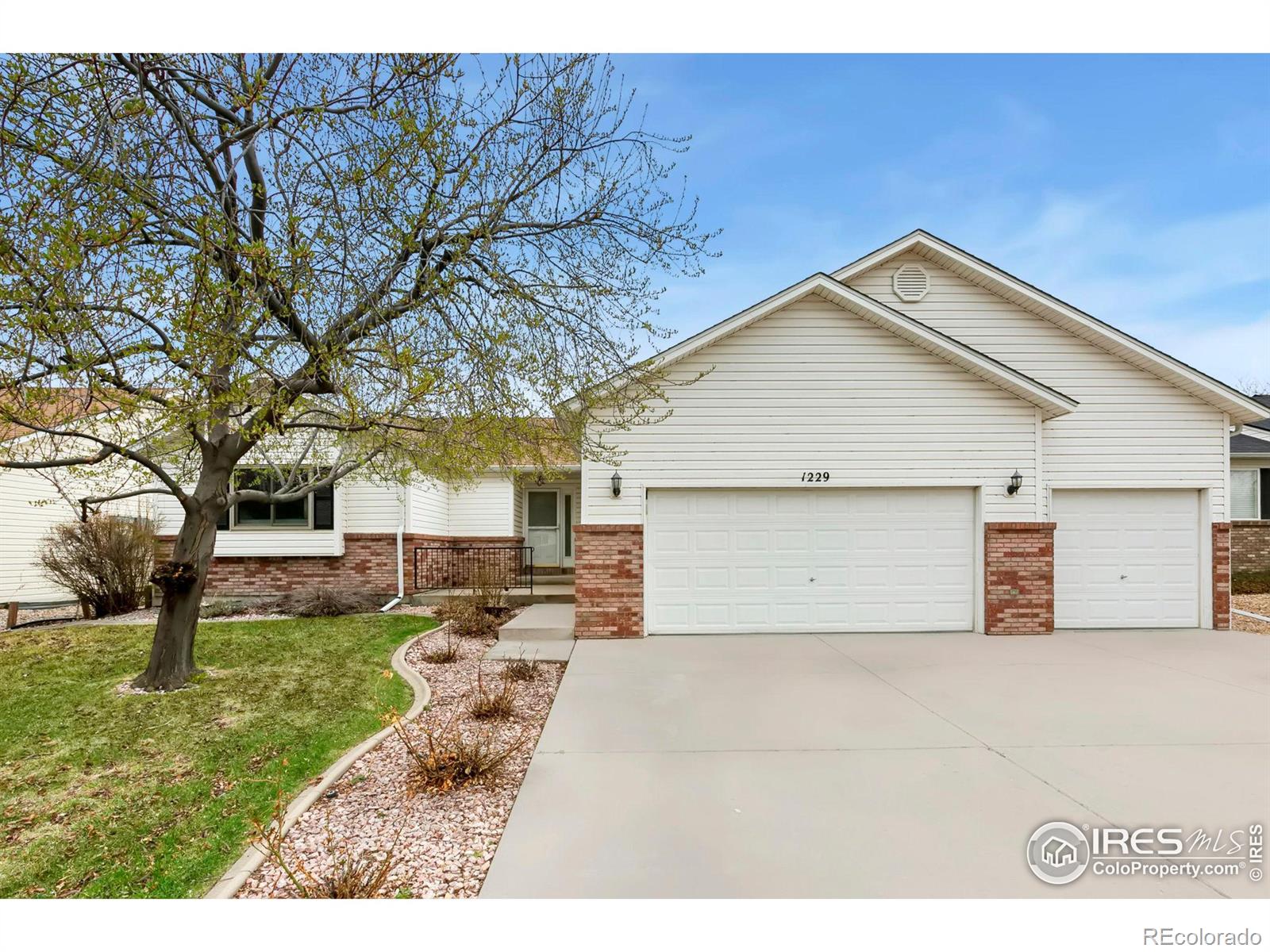 CMA Image for 1229  westwood drive,Windsor, Colorado