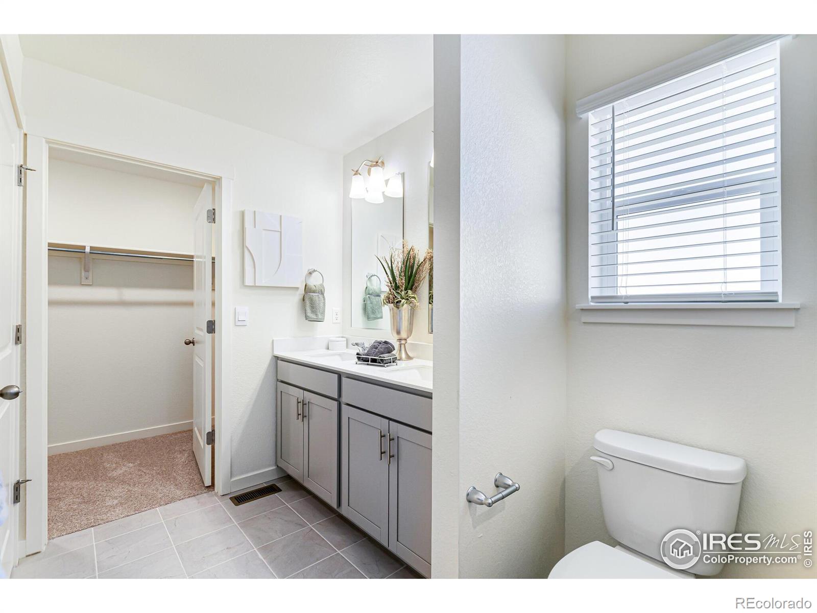 MLS Image #24 for 4703  combine lane,johnstown, Colorado