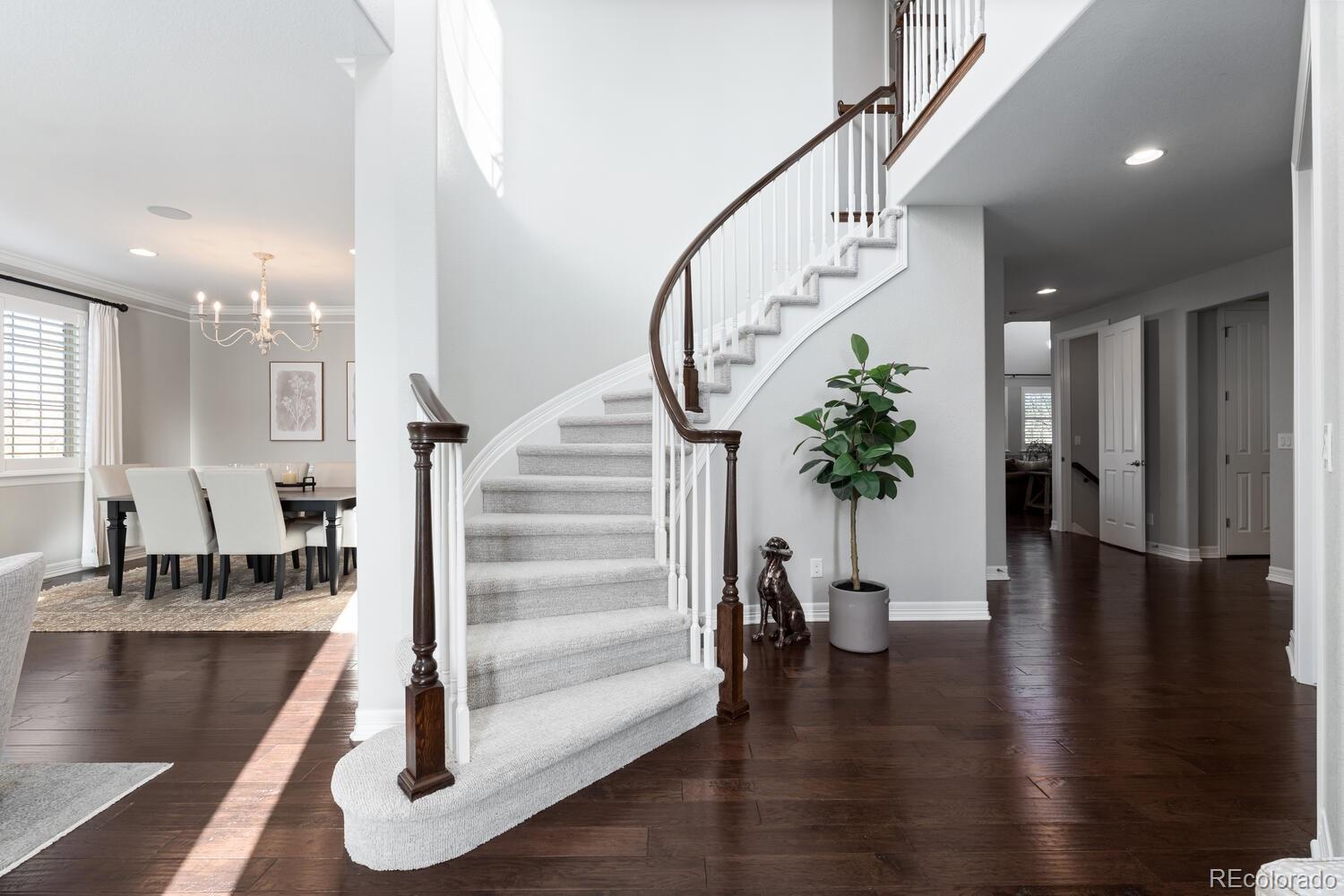 MLS Image #3 for 10800  sundial rim road,highlands ranch, Colorado