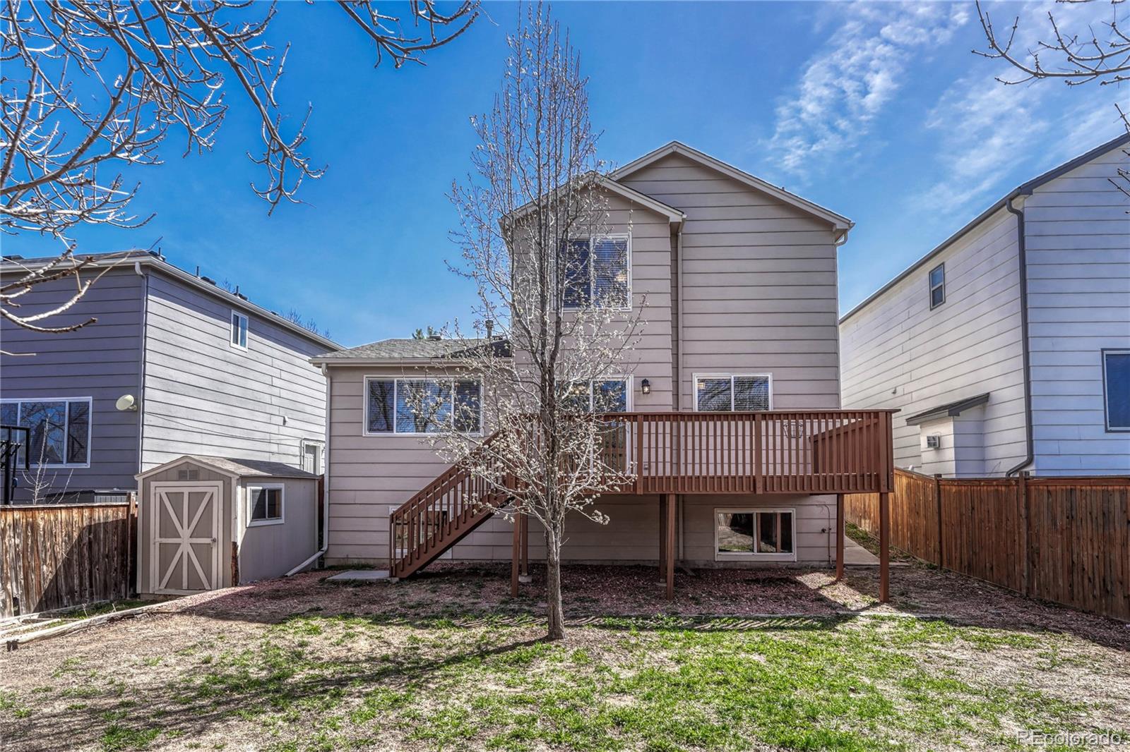 CMA Image for 3532  morning glory drive,Castle Rock, Colorado