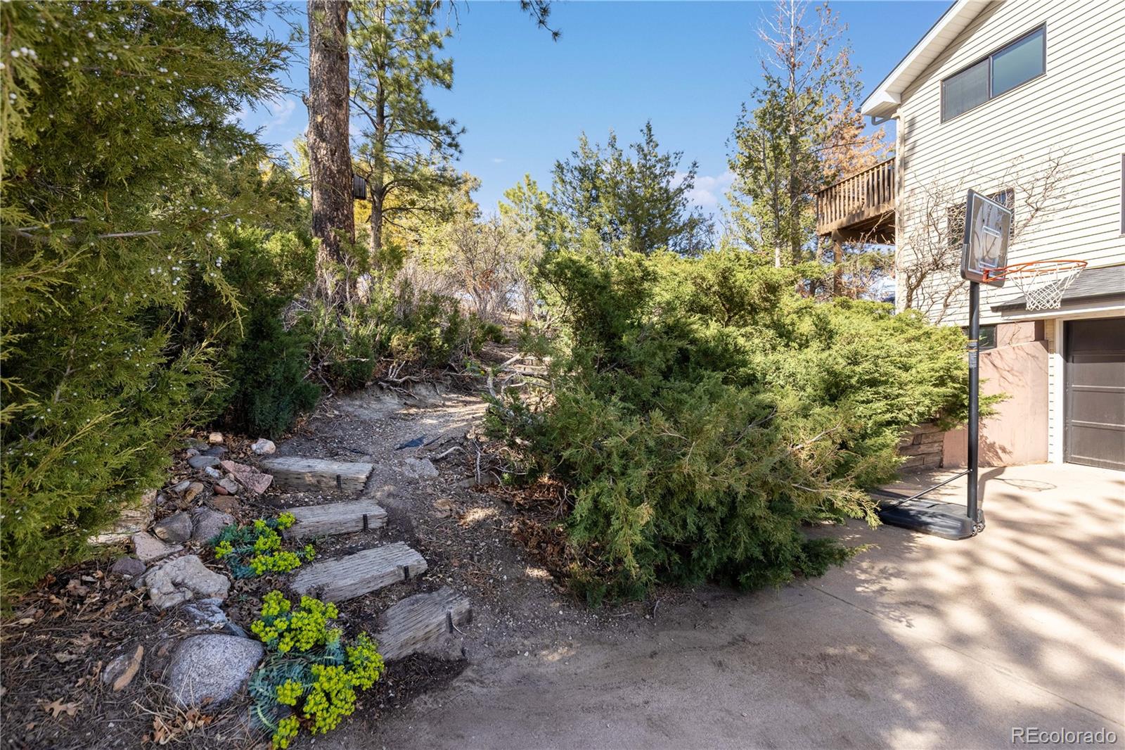 MLS Image #33 for 7596  rafter road,franktown, Colorado
