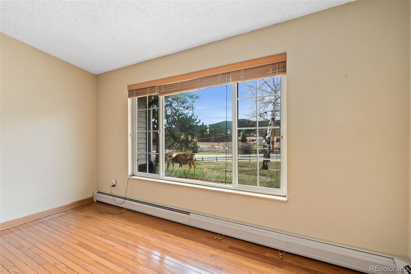 MLS Image #13 for 5128 s greenwood drive,evergreen, Colorado