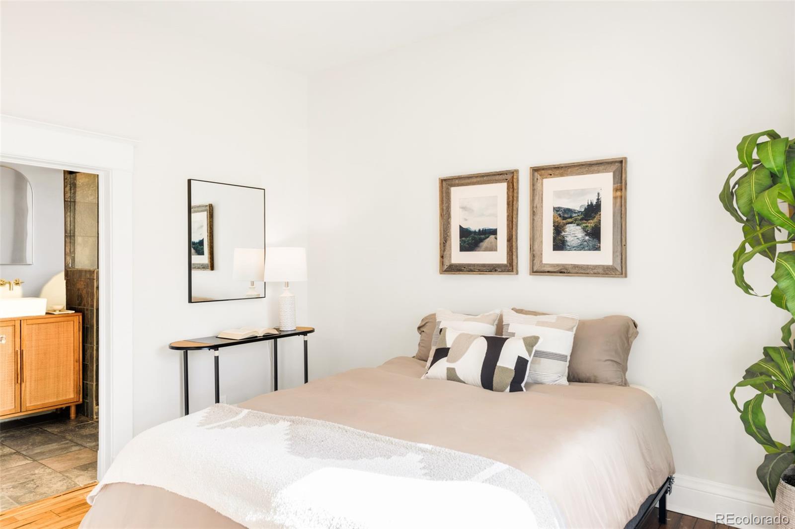MLS Image #8 for 3534  decatur street,denver, Colorado