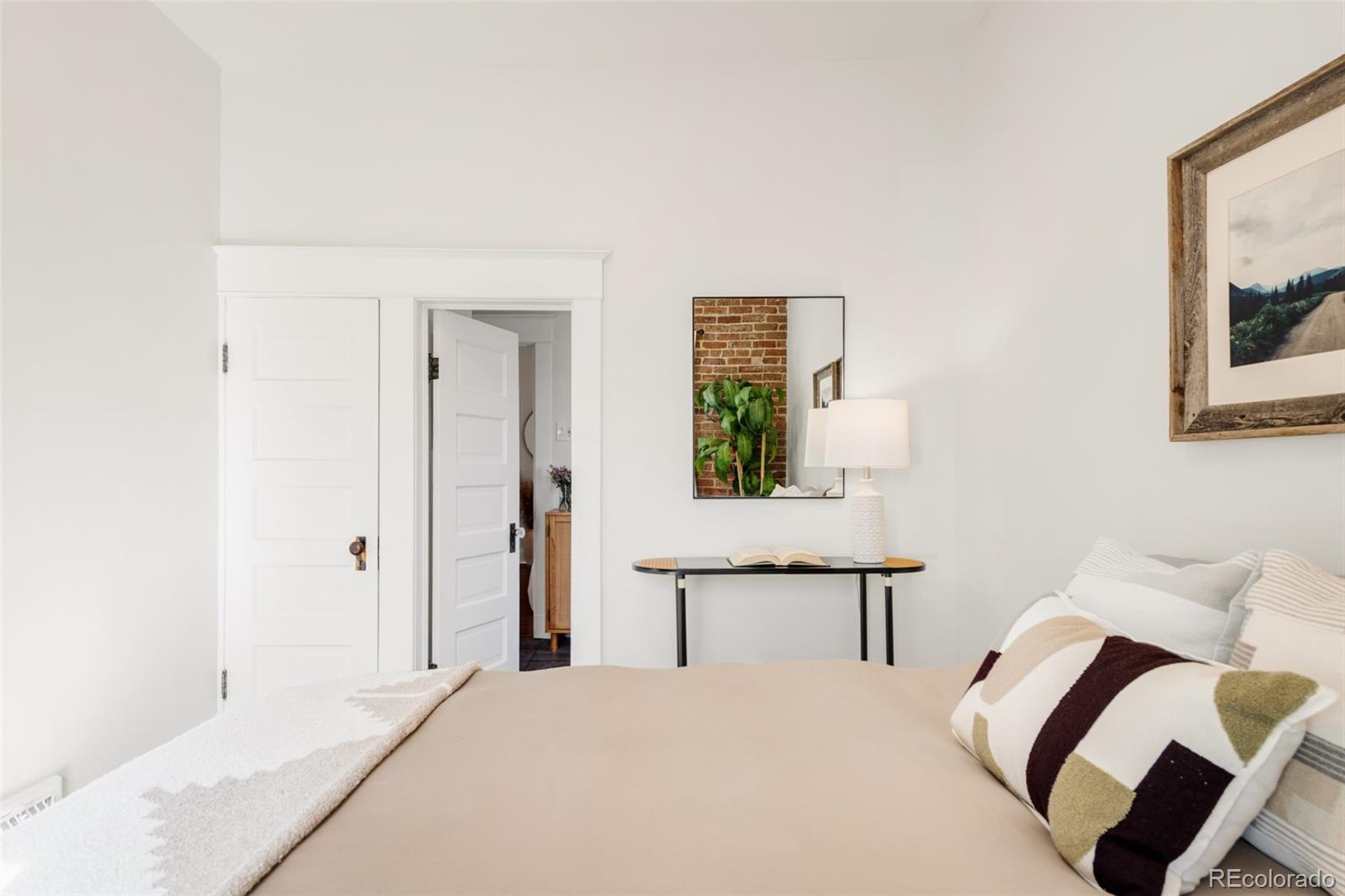 MLS Image #9 for 3534  decatur street,denver, Colorado