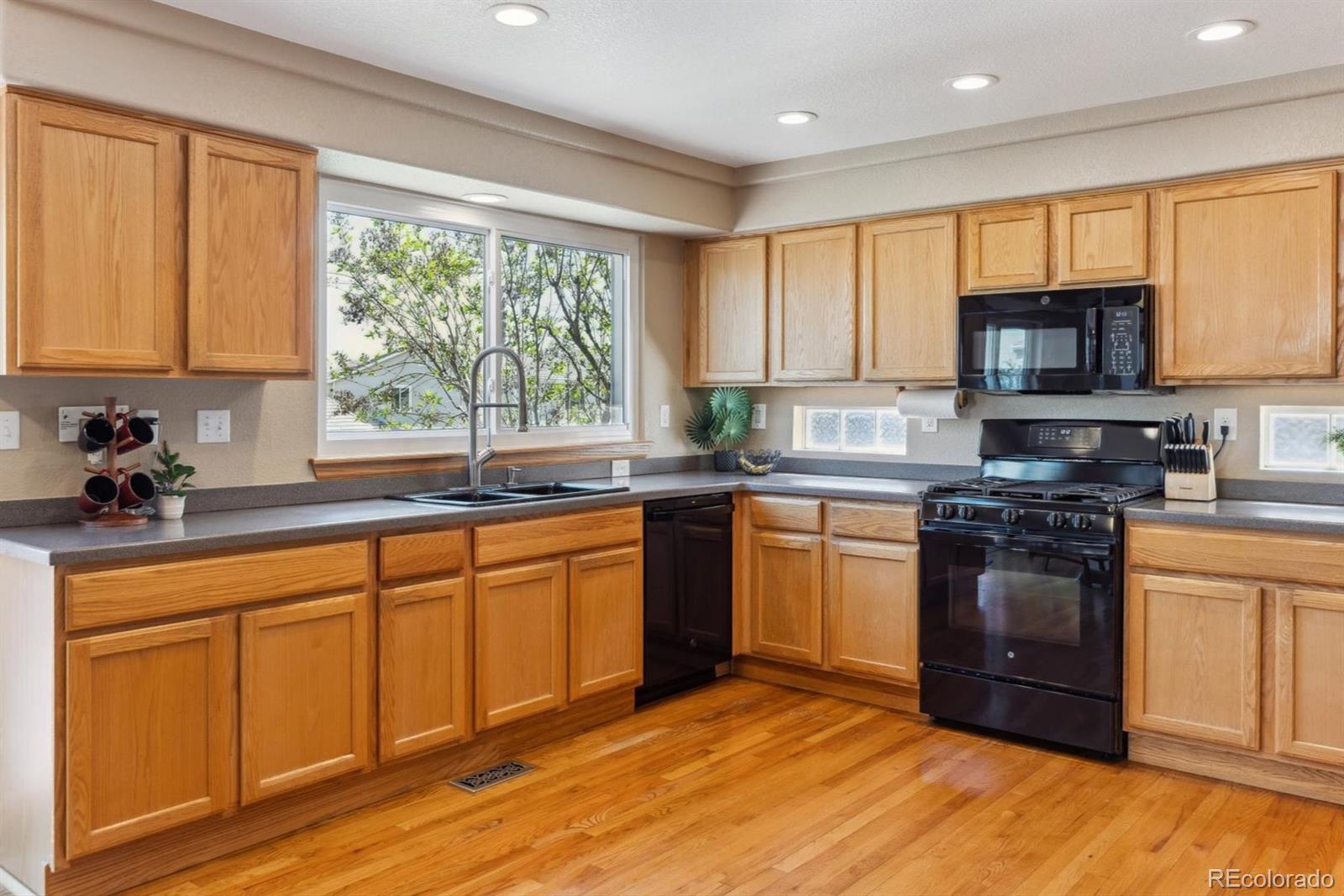 MLS Image #11 for 4901  ashbrook circle,highlands ranch, Colorado