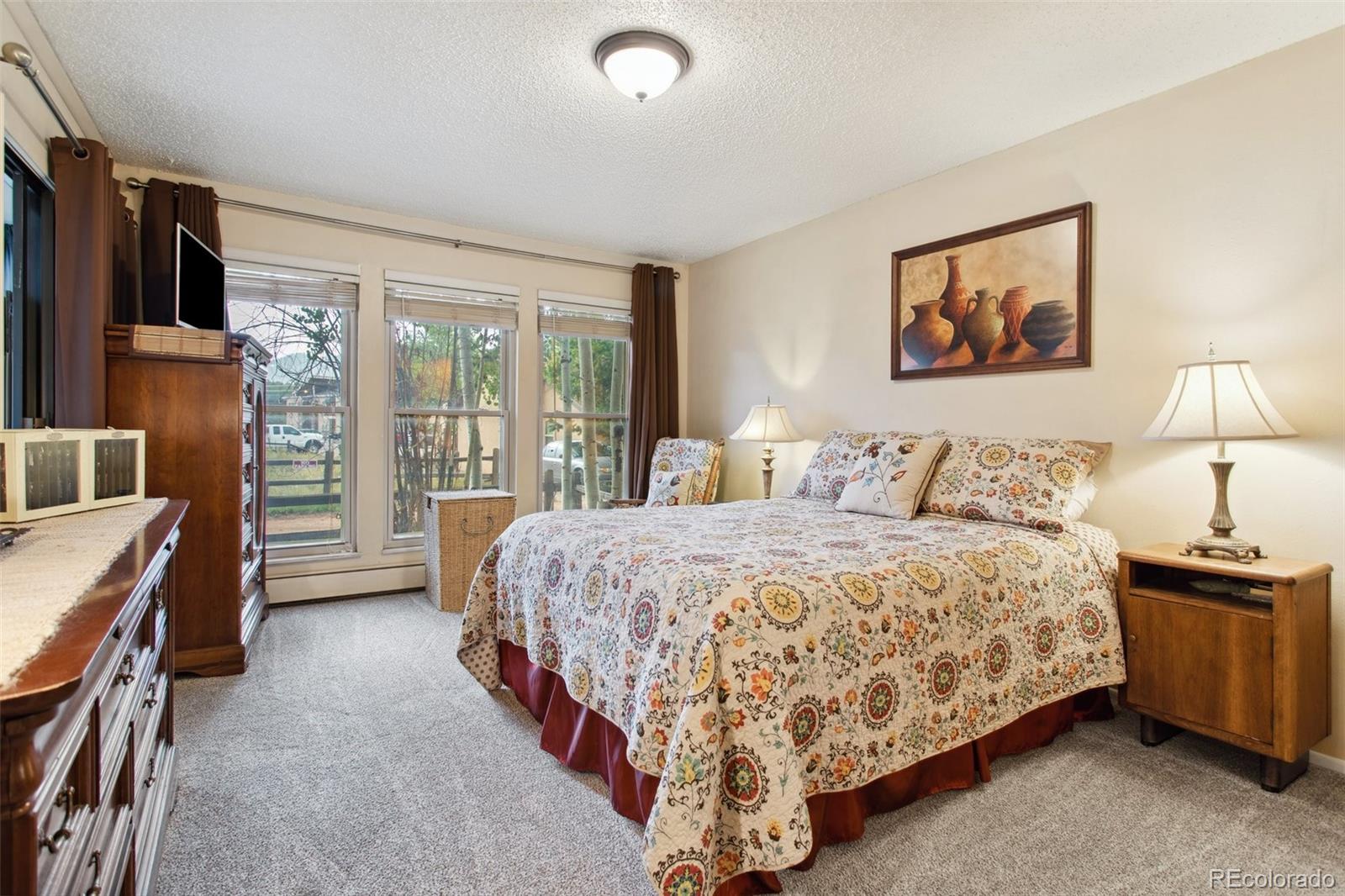 MLS Image #15 for 755  apache ,woodland park, Colorado