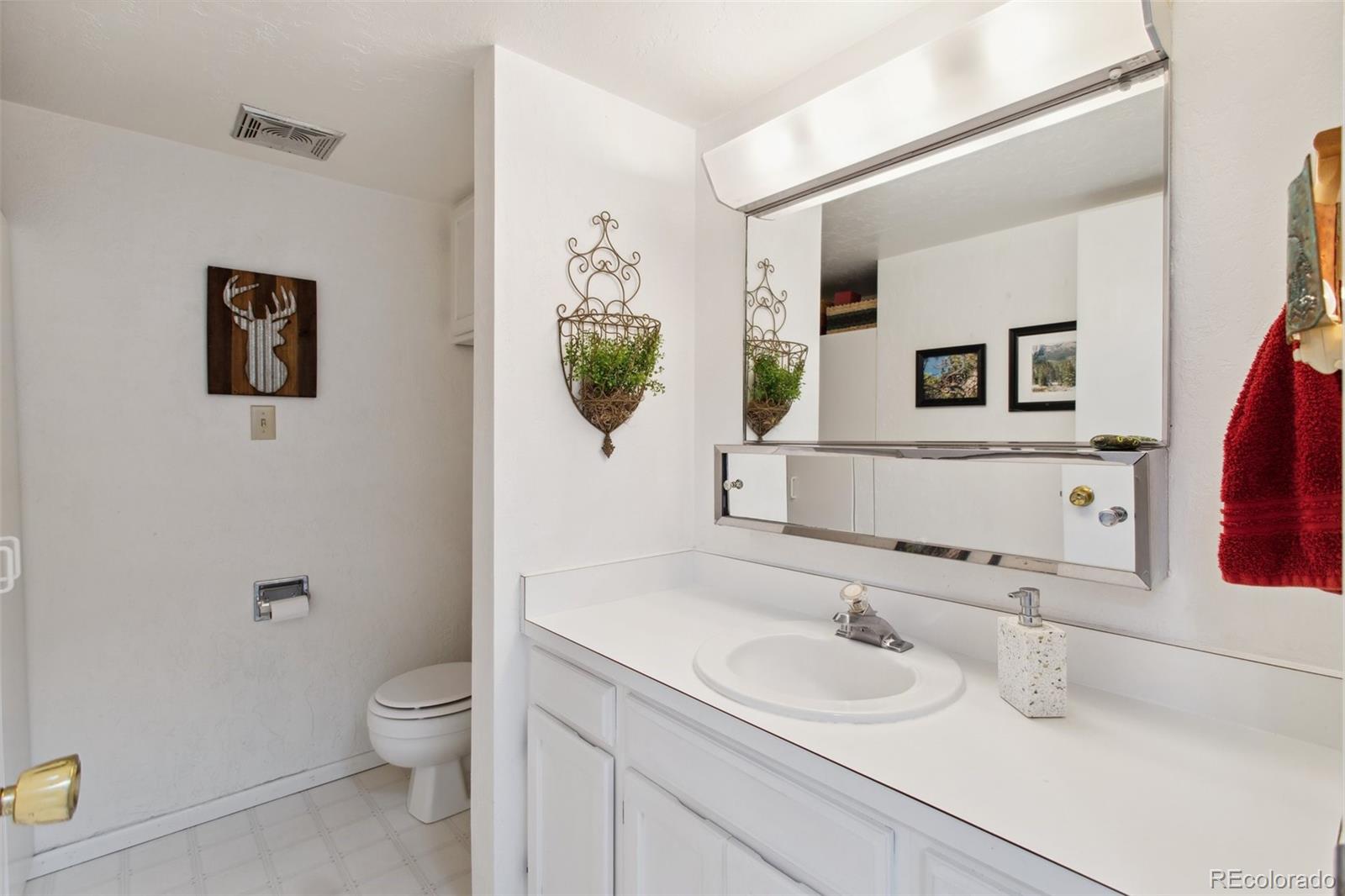 MLS Image #19 for 755  apache ,woodland park, Colorado