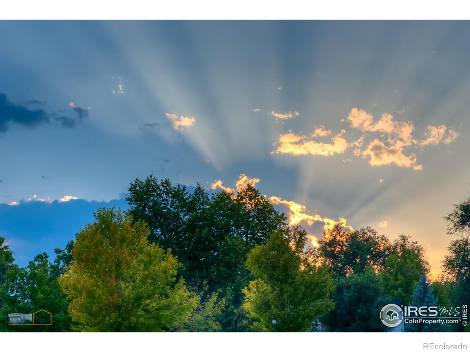 MLS Image #32 for 930  parkview street,louisville, Colorado