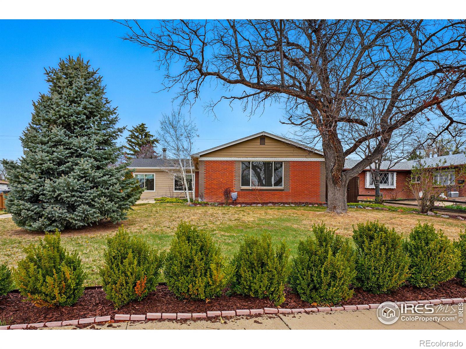 MLS Image #2 for 1185 w midway boulevard,broomfield, Colorado