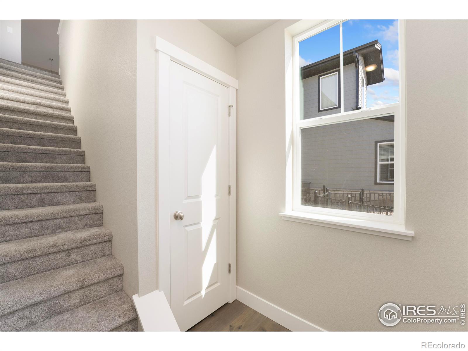 MLS Image #19 for 6810  school house drive,timnath, Colorado