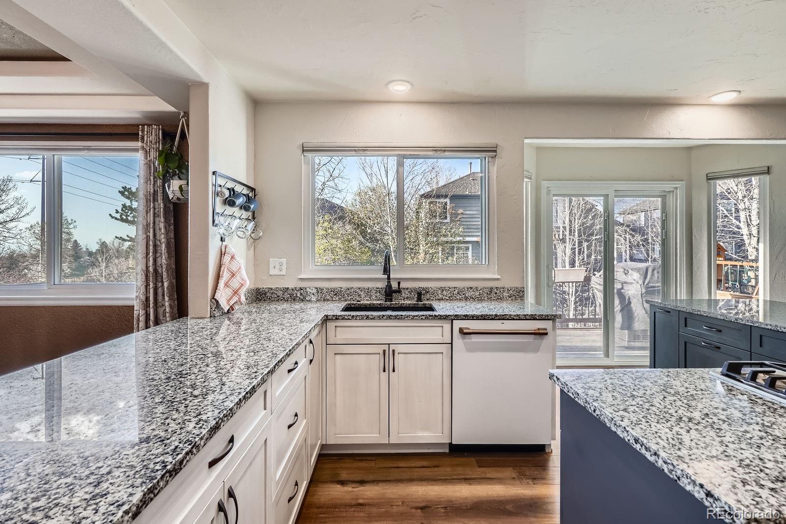 MLS Image #9 for 7443  indian wells cove,lone tree, Colorado