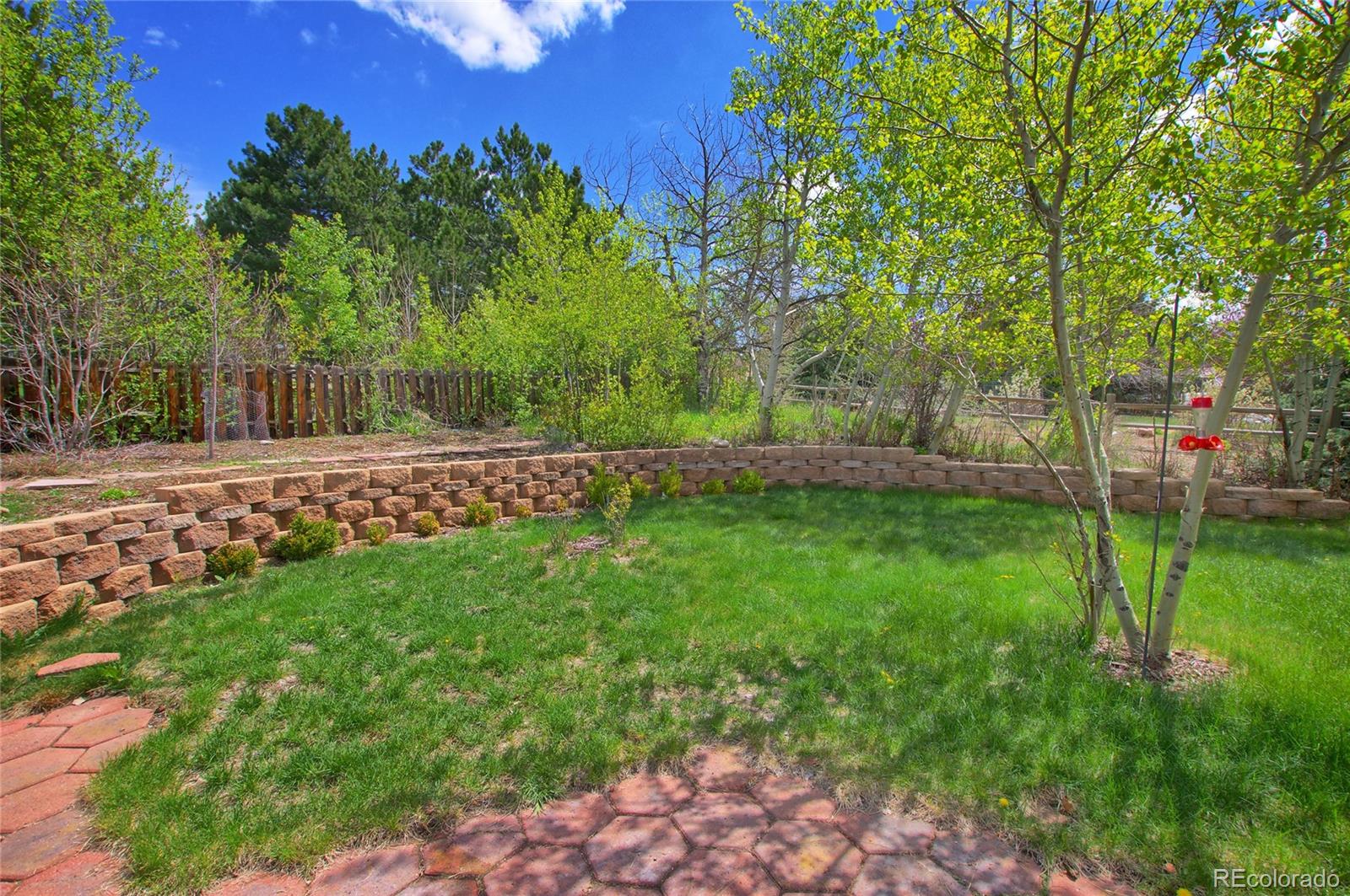 MLS Image #49 for 14835  gleneagle drive,colorado springs, Colorado