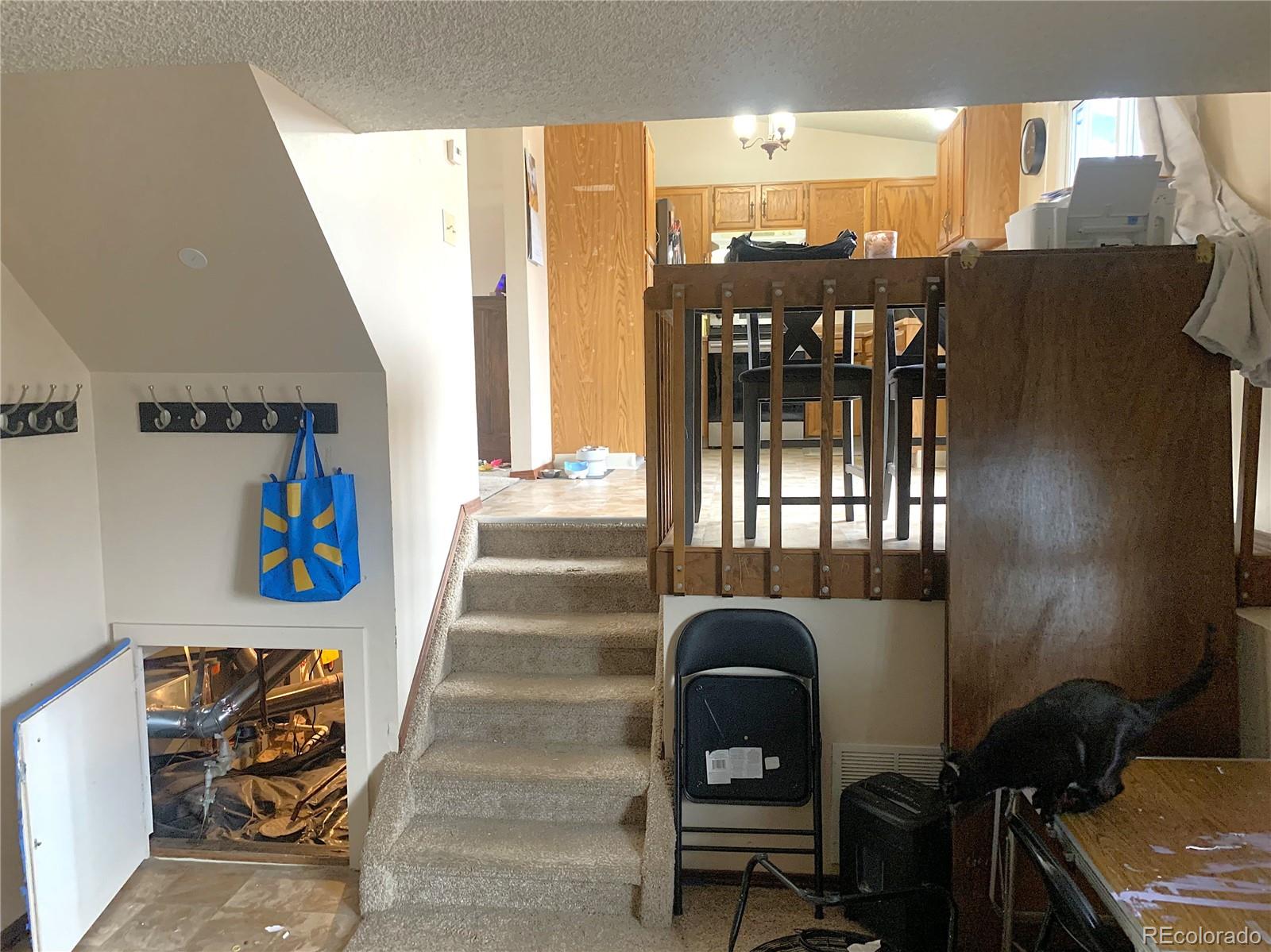 MLS Image #9 for 3865  beltana drive,colorado springs, Colorado