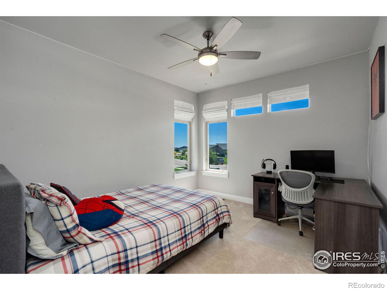 MLS Image #19 for 3818  bridle ridge circle,severance, Colorado