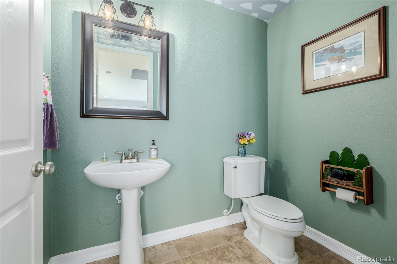 MLS Image #16 for 9047  apache plume drive,parker, Colorado