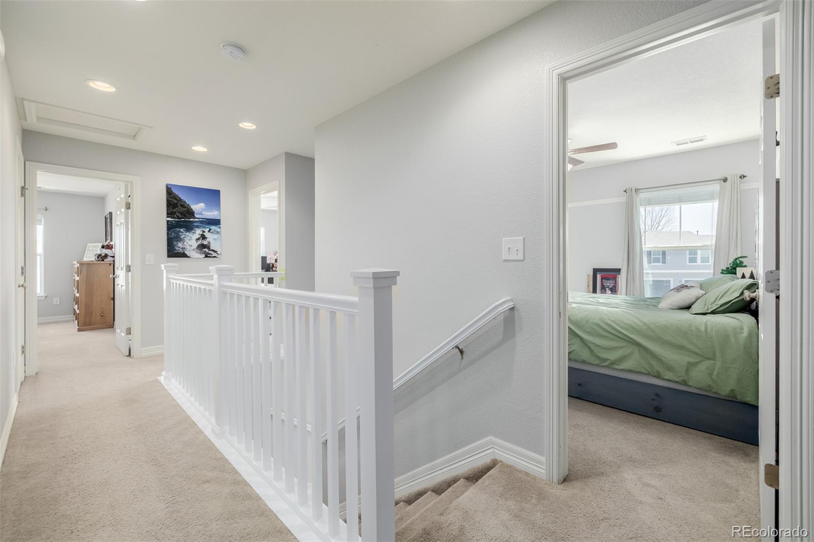 MLS Image #19 for 9047  apache plume drive,parker, Colorado