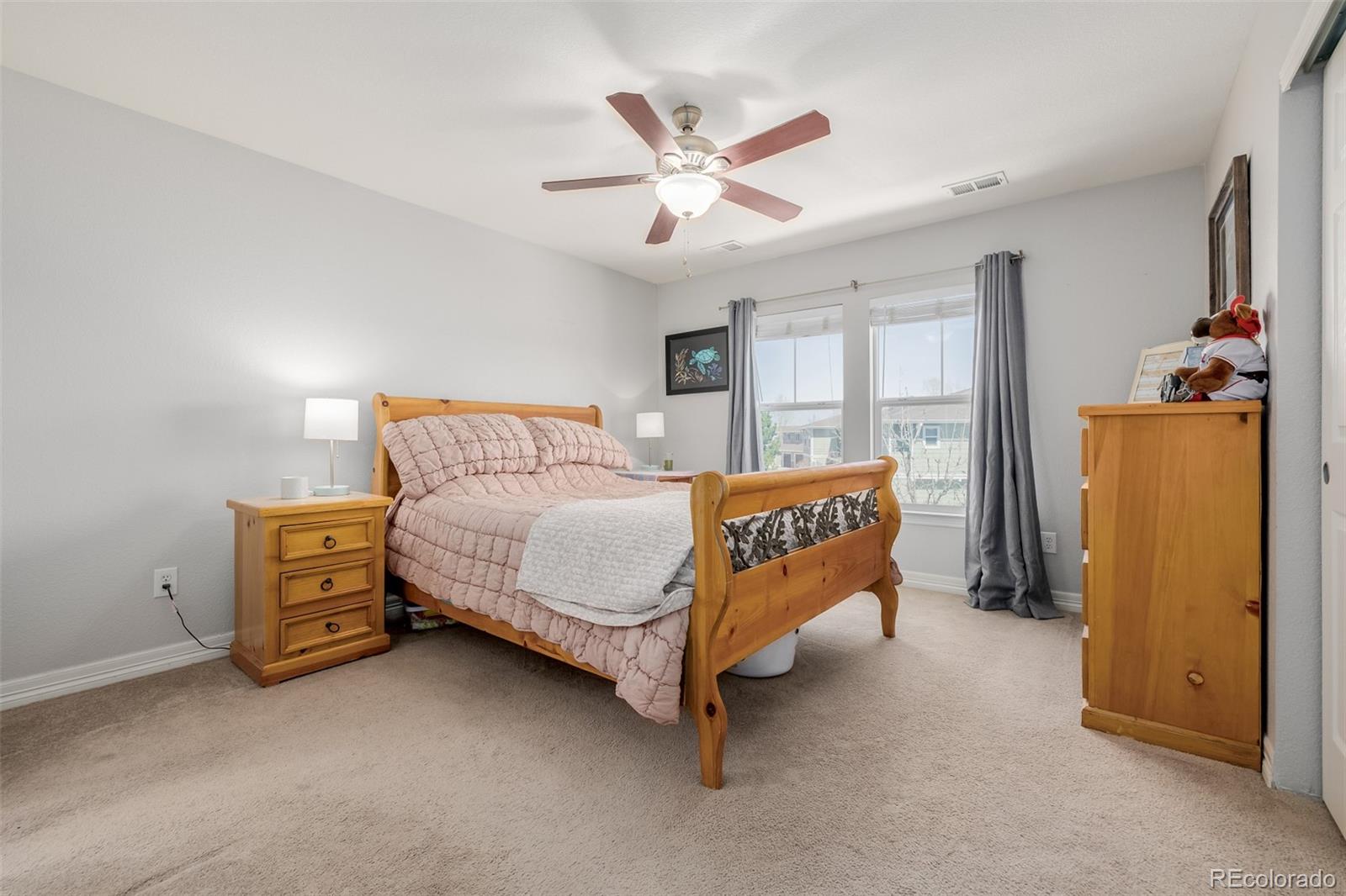MLS Image #20 for 9047  apache plume drive,parker, Colorado
