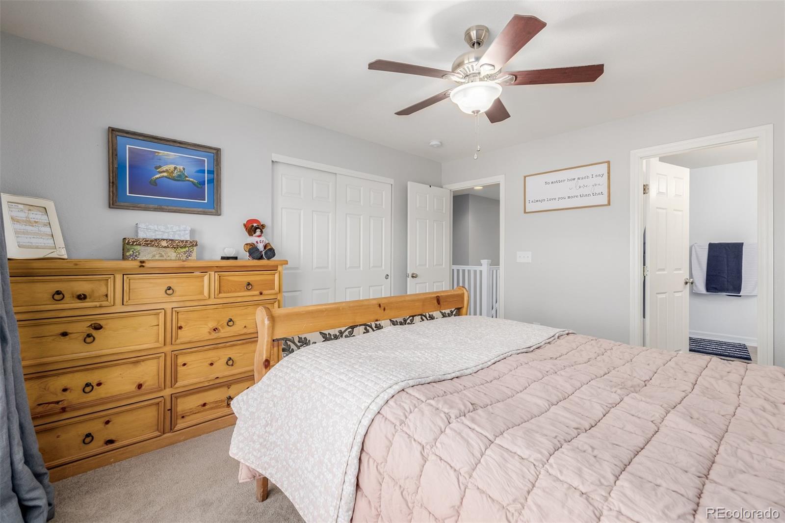 MLS Image #21 for 9047  apache plume drive,parker, Colorado