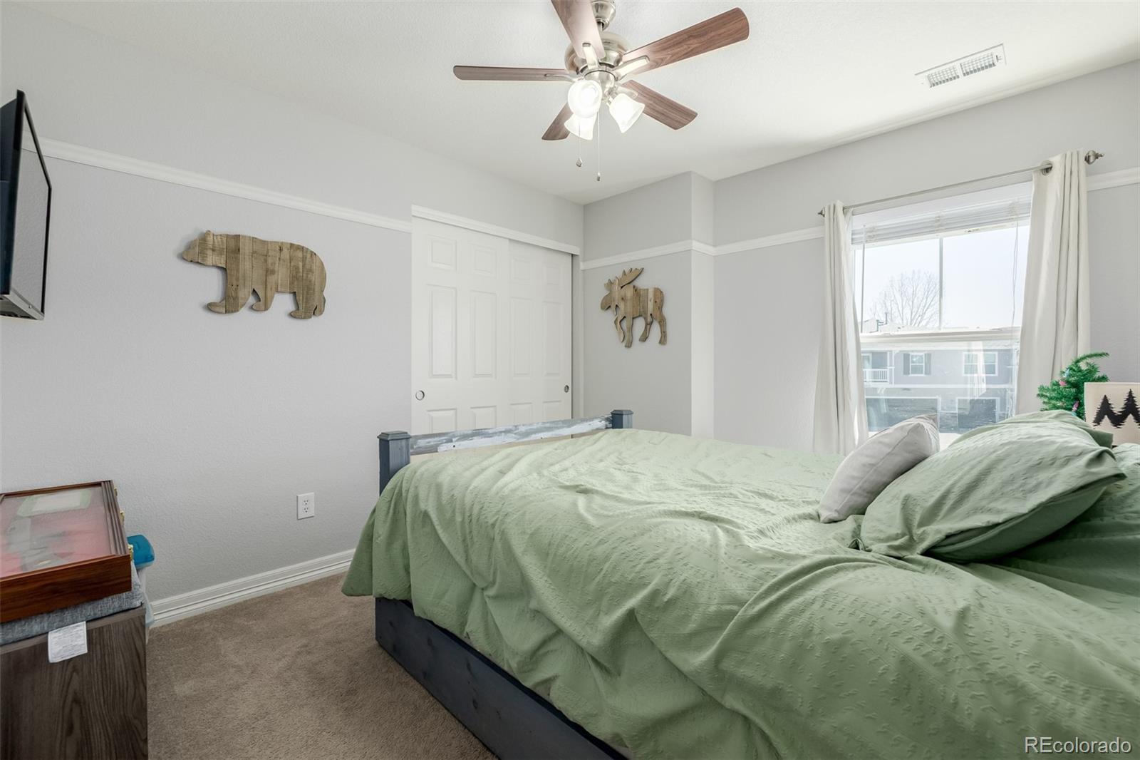 MLS Image #24 for 9047  apache plume drive,parker, Colorado
