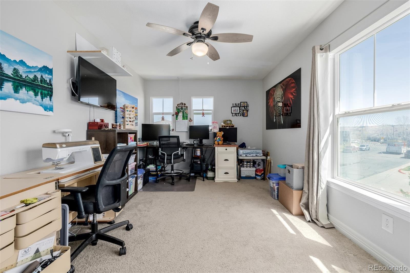 MLS Image #27 for 9047  apache plume drive,parker, Colorado