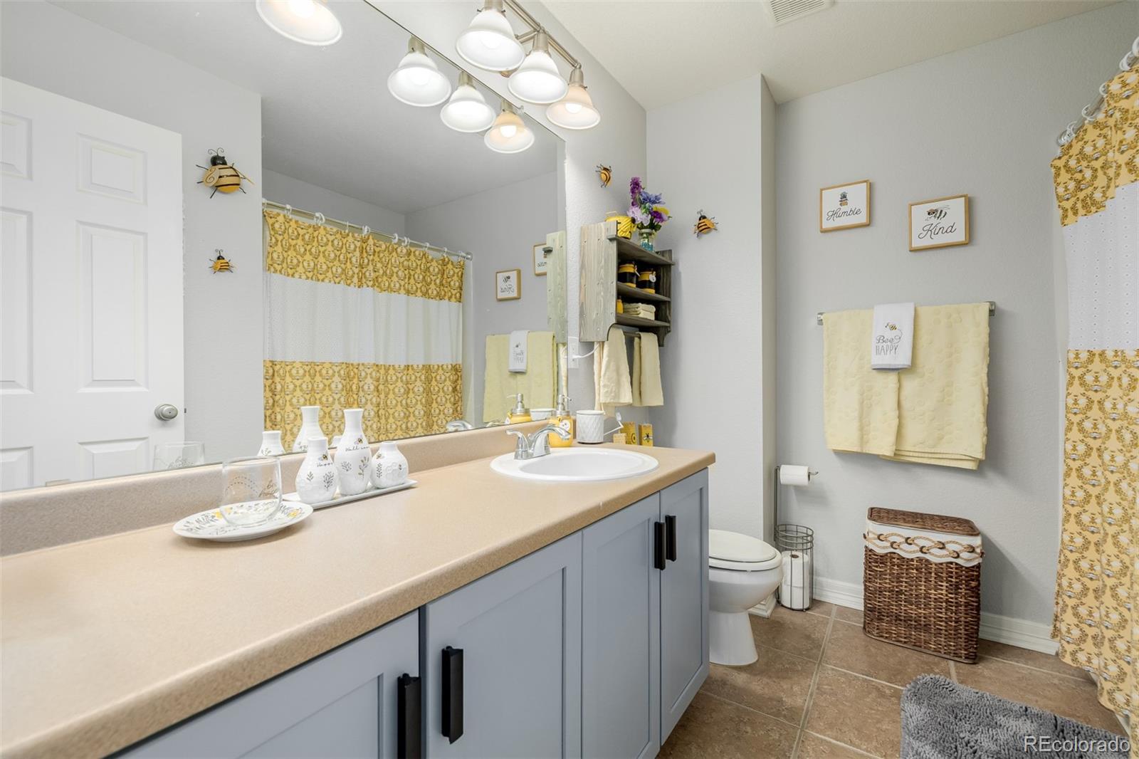 MLS Image #29 for 9047  apache plume drive,parker, Colorado