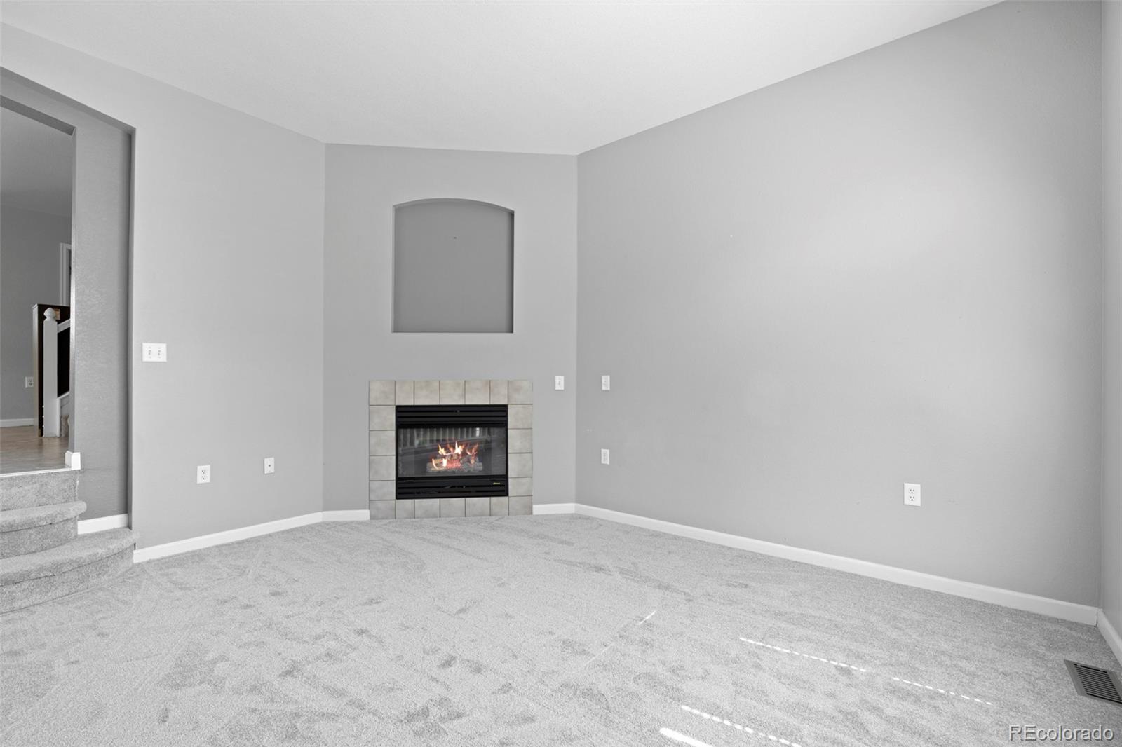 MLS Image #10 for 1479  nemrick place,castle rock, Colorado