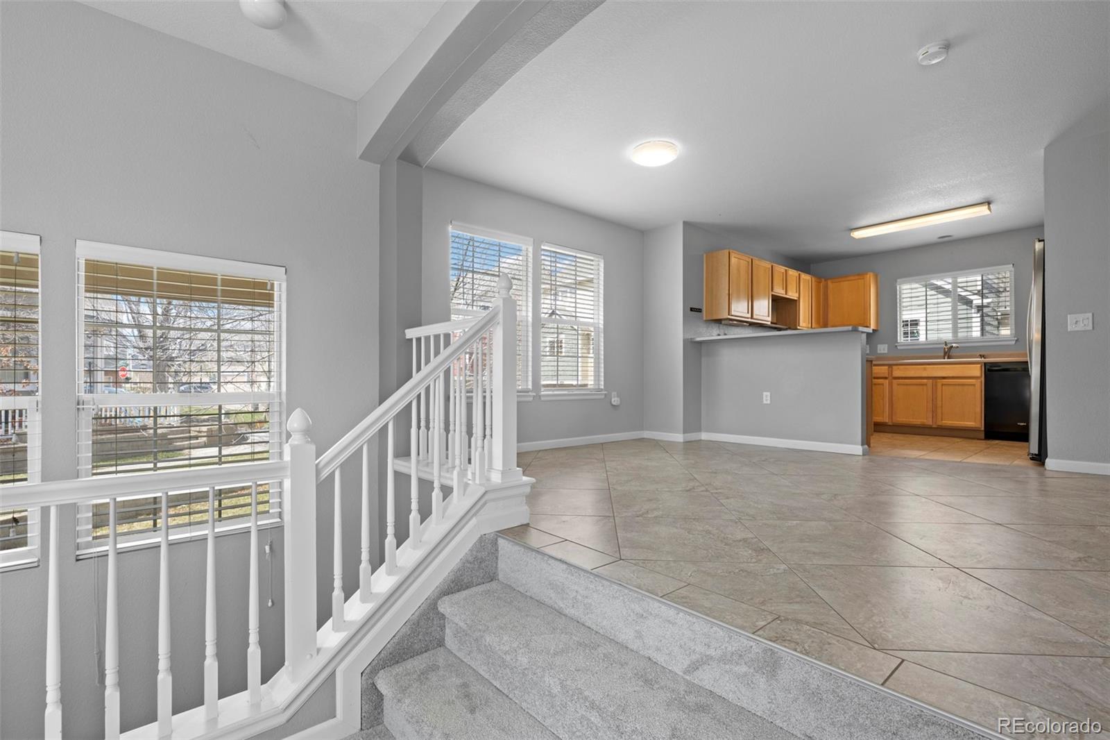 MLS Image #11 for 1479  nemrick place,castle rock, Colorado