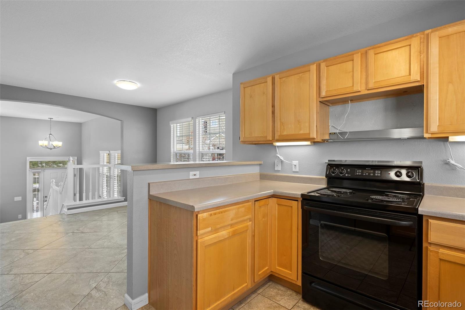 MLS Image #17 for 1479  nemrick place,castle rock, Colorado
