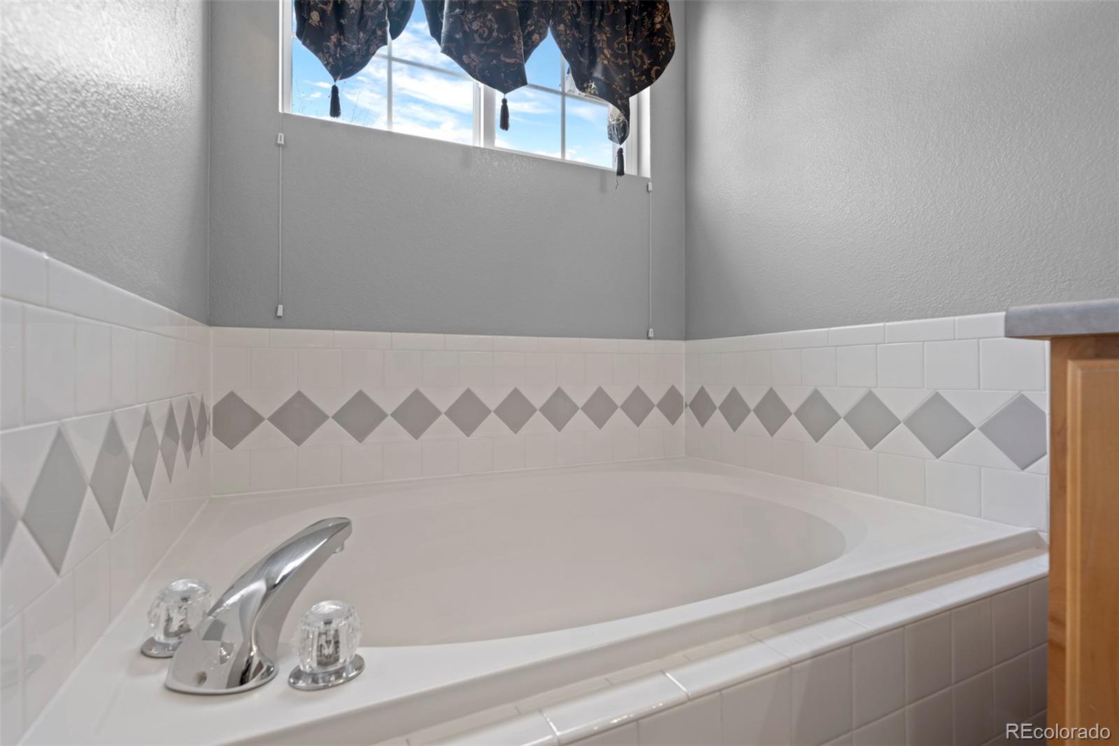 MLS Image #27 for 1479  nemrick place,castle rock, Colorado