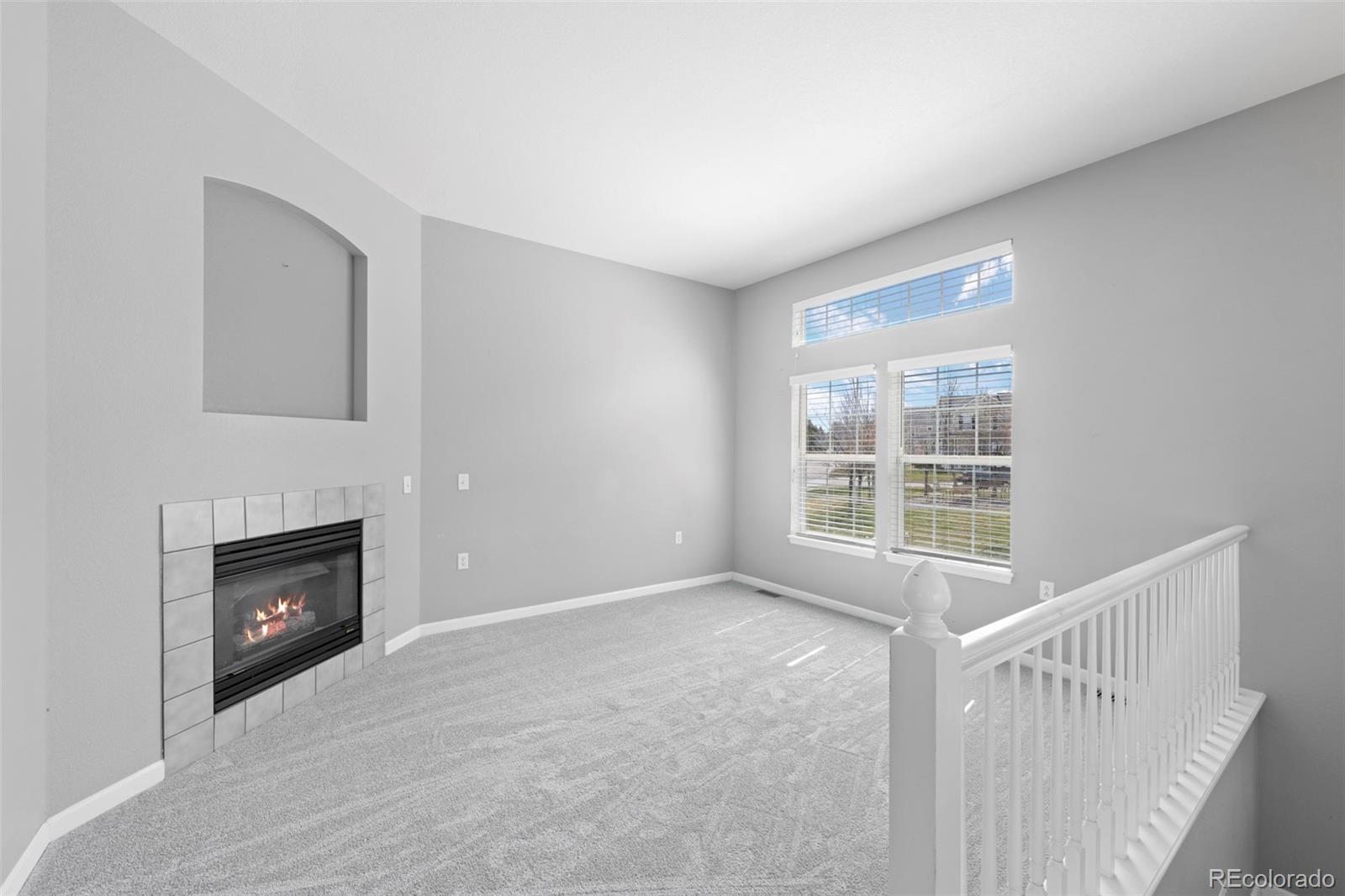 MLS Image #7 for 1479  nemrick place,castle rock, Colorado