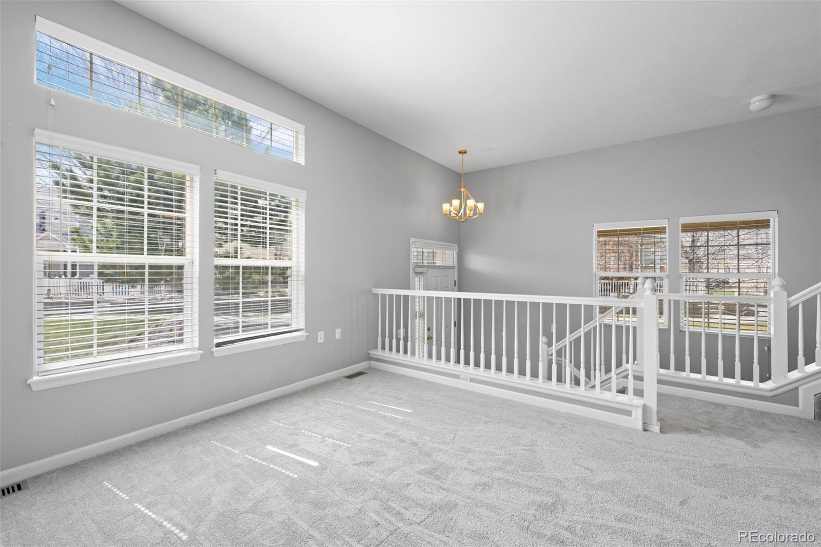 MLS Image #8 for 1479  nemrick place,castle rock, Colorado