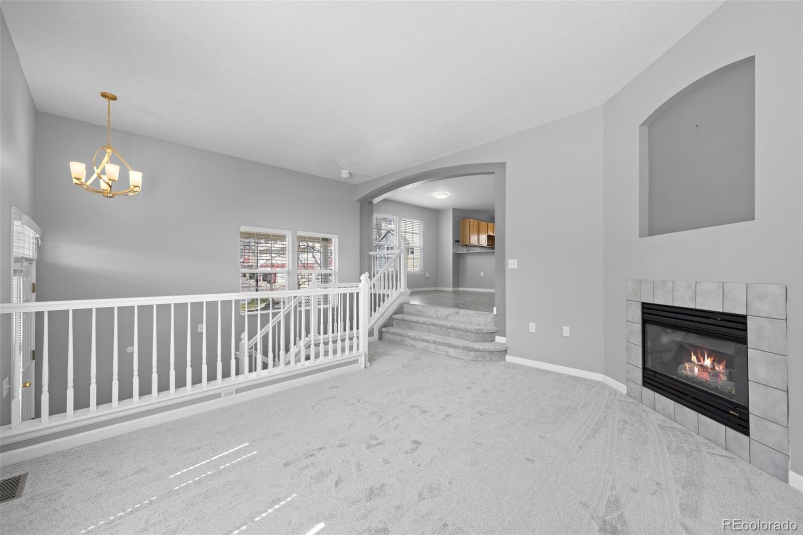 MLS Image #9 for 1479  nemrick place,castle rock, Colorado