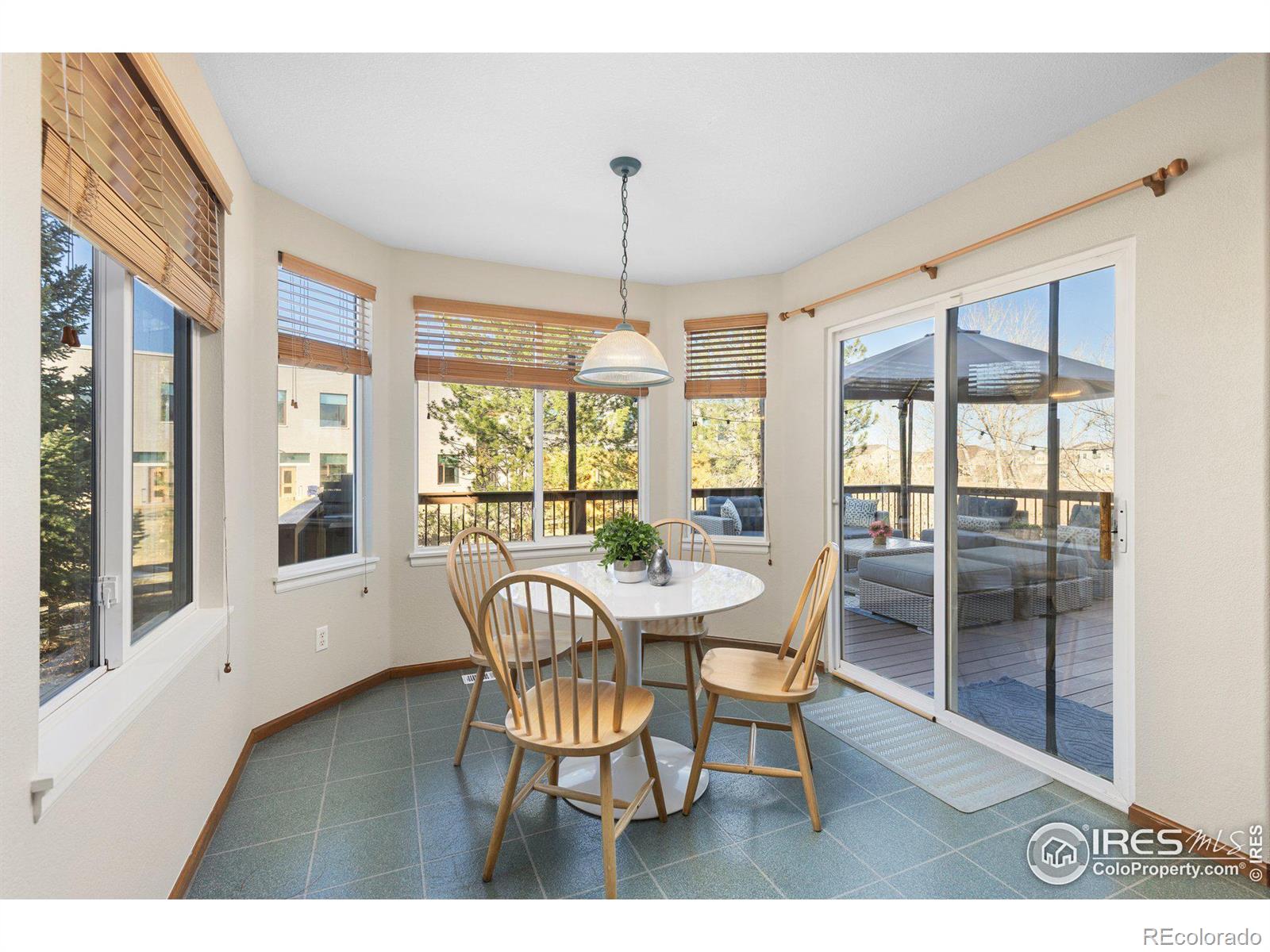 MLS Image #10 for 85  kolar court,erie, Colorado