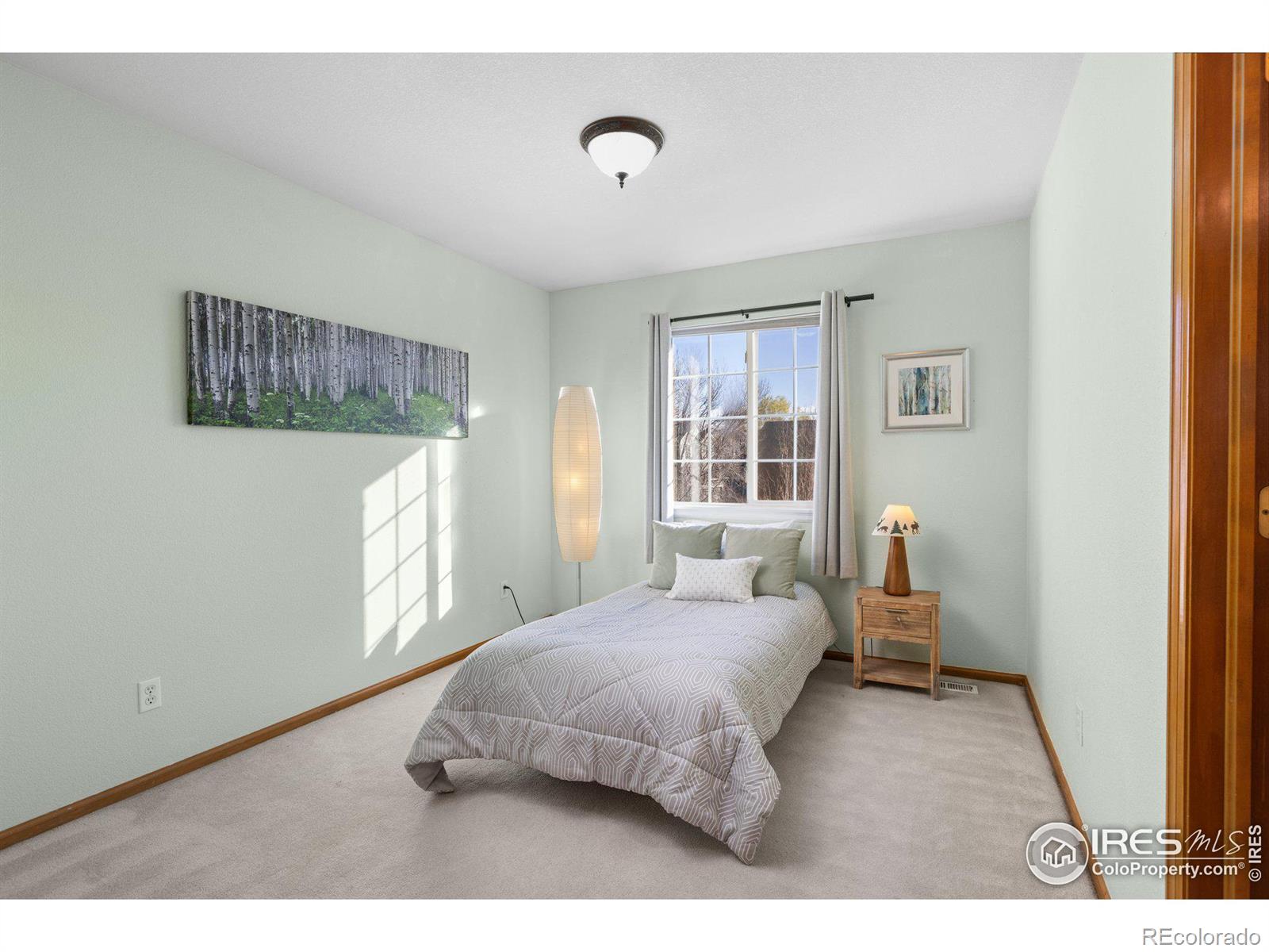 MLS Image #20 for 85  kolar court,erie, Colorado
