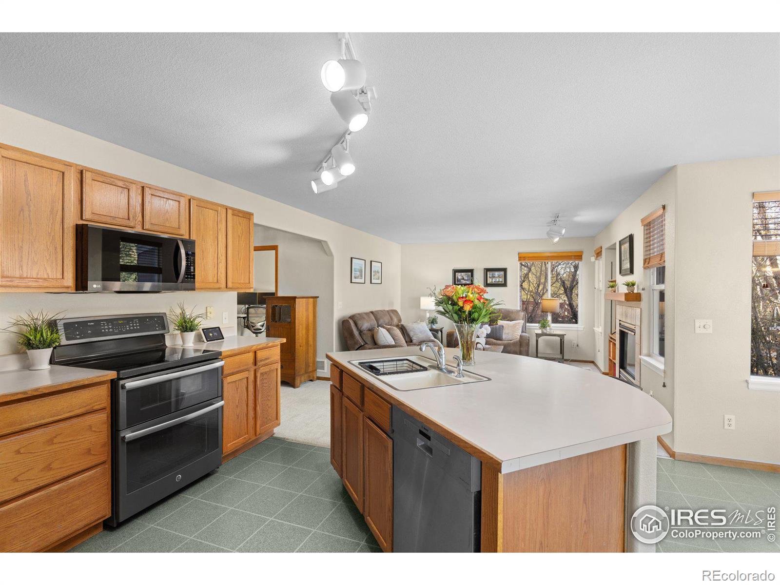 MLS Image #9 for 85  kolar court,erie, Colorado