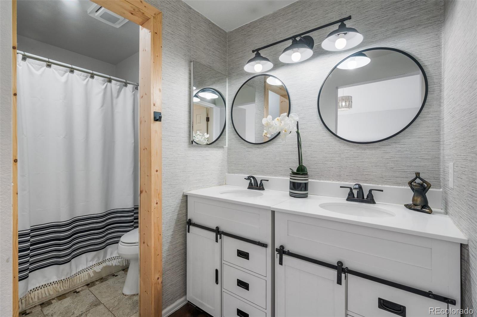 MLS Image #13 for 3738  black feather trail,castle rock, Colorado
