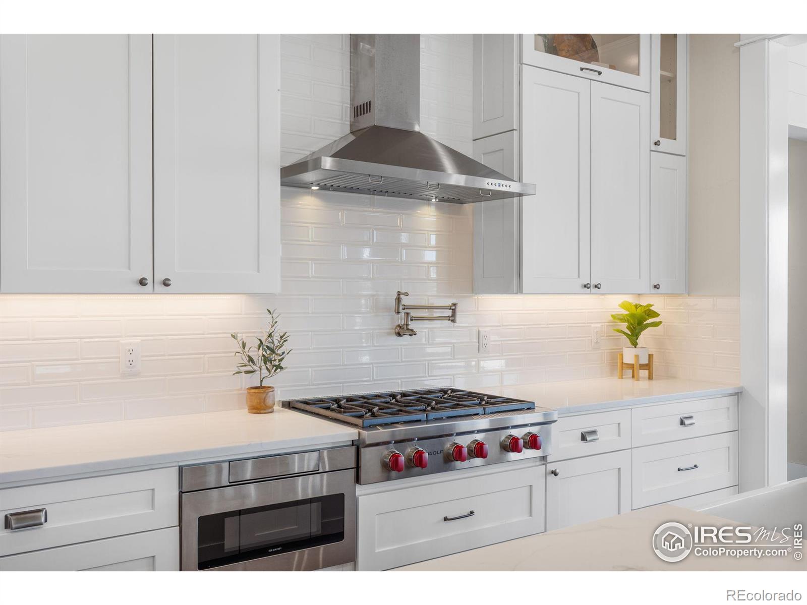 MLS Image #8 for 8852  portico lane,longmont, Colorado