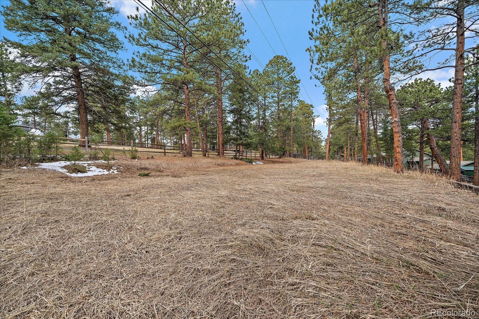 MLS Image #47 for 28630  pine drive,evergreen, Colorado