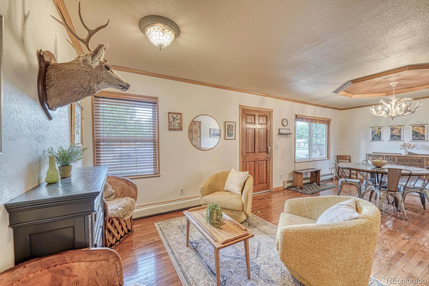 MLS Image #10 for 613  yale avenue,buena vista, Colorado