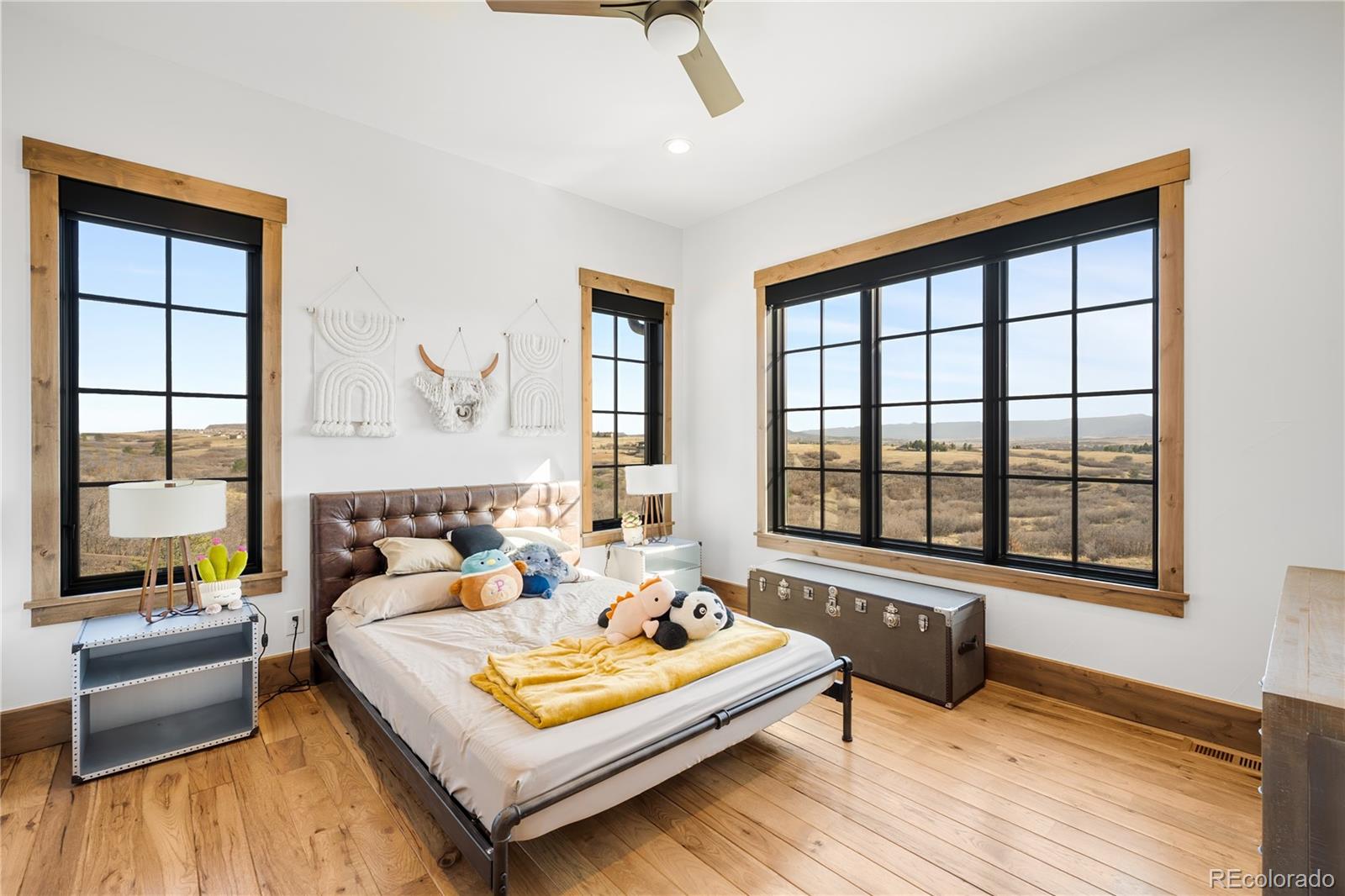MLS Image #17 for 3148  keep drive,sedalia, Colorado